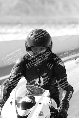 media/Mar-08-2025-TrackXperience (Sat) [[277b597a28]]/1-Around the Pits - Pre Grid/
